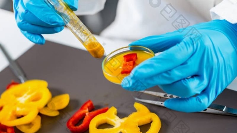 食品代加工贴牌全流程揭秘：从源头到成品